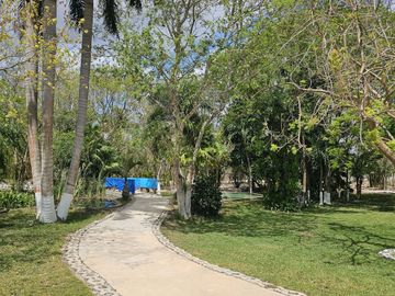 place photo 36