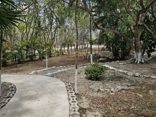 place photo 34