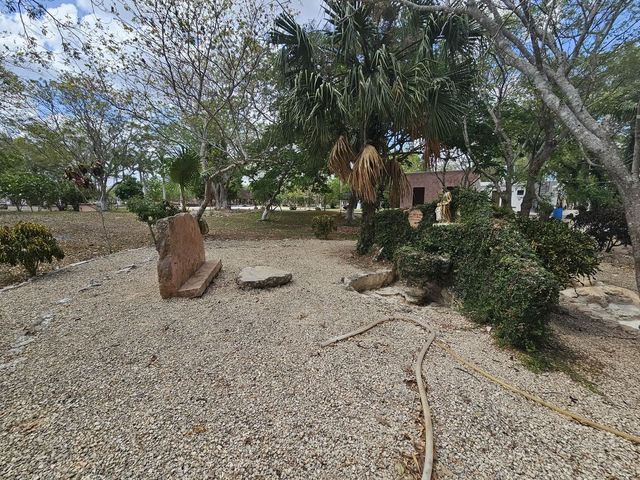 place photo 19
