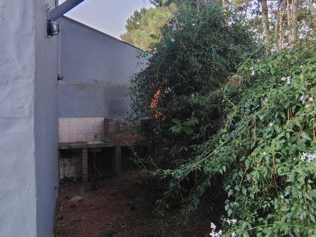 place photo 42