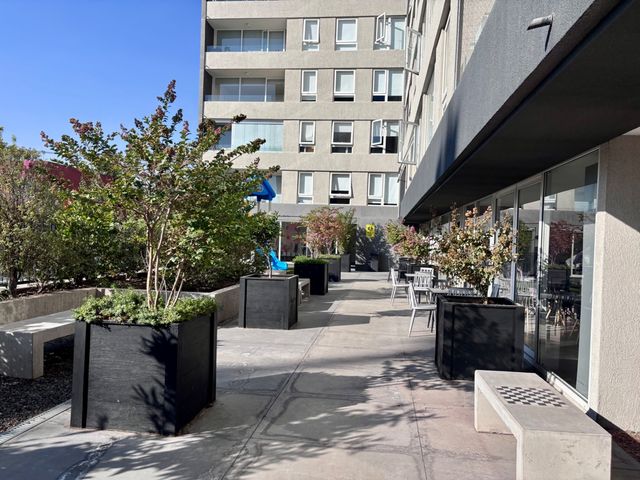 place photo 23