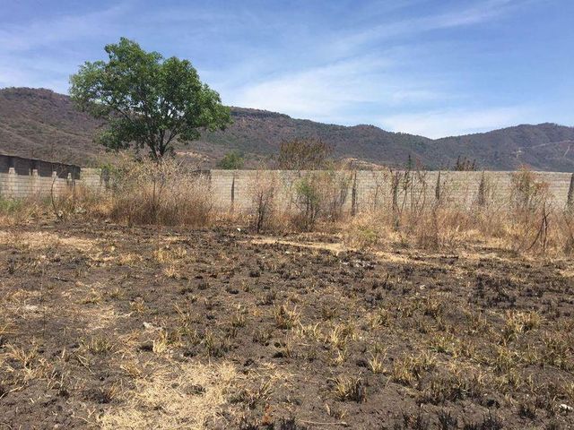 place photo 15