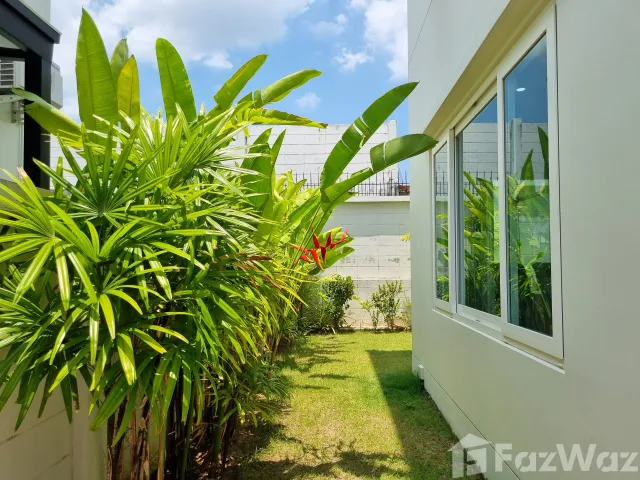 place photo 38