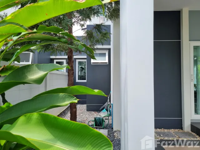 place photo 37