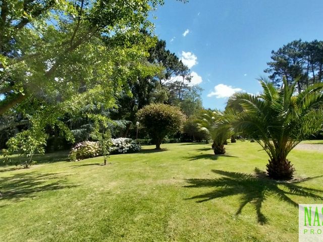 place photo 68