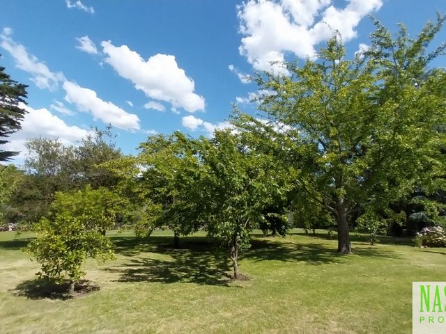 place photo 66