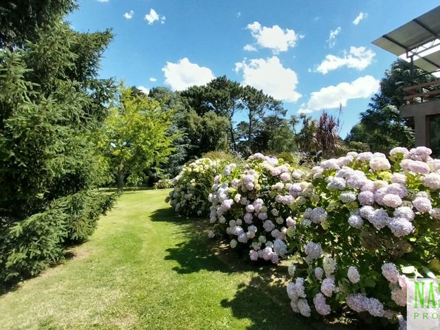 place photo 65