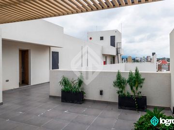 place photo 34