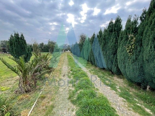 place photo 40