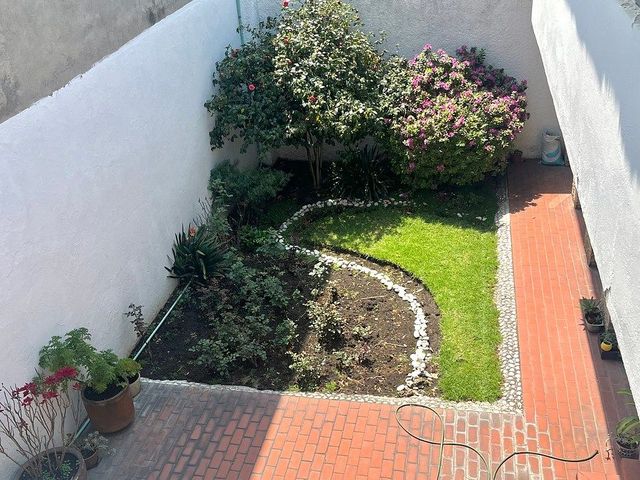 place photo 30