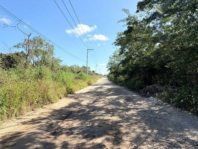 place photo 4
