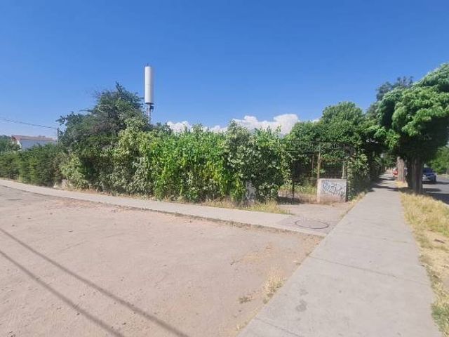place photo 14