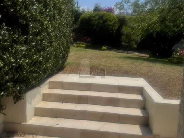 place photo 59