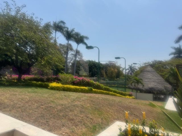 place photo 60