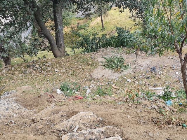 place photo 38