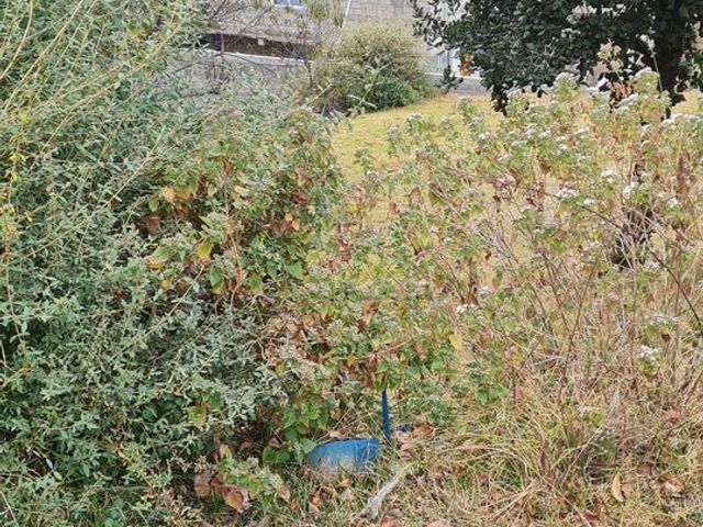 place photo 34