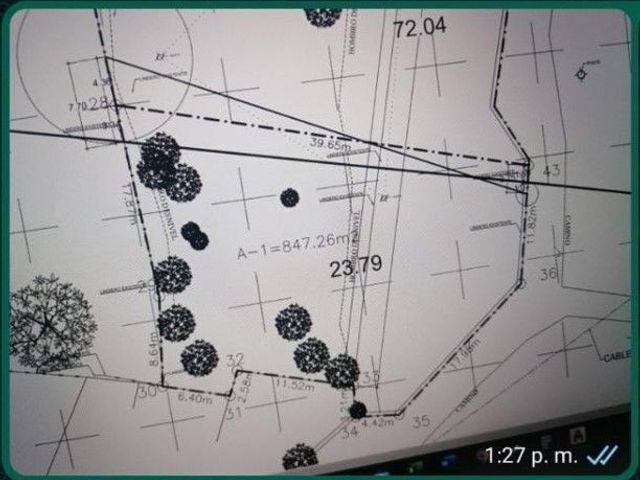 place photo 29