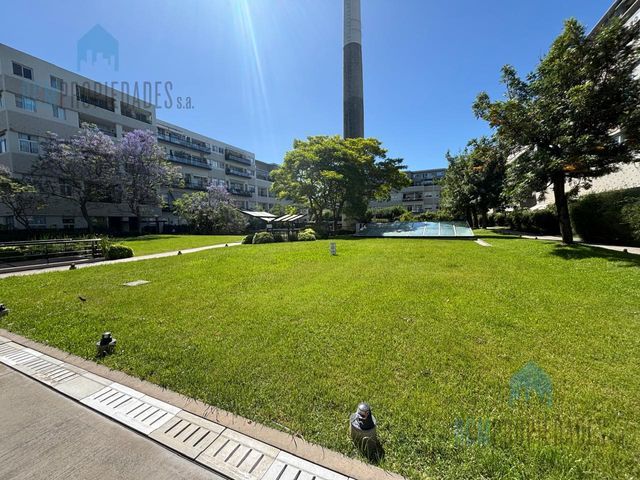 place photo 49