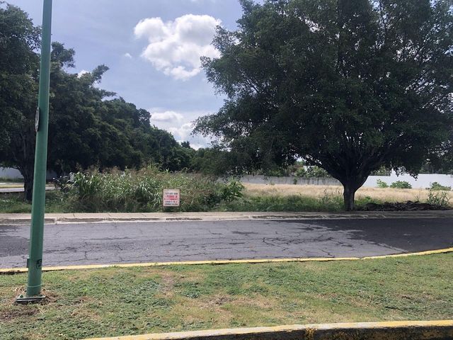 place photo 27
