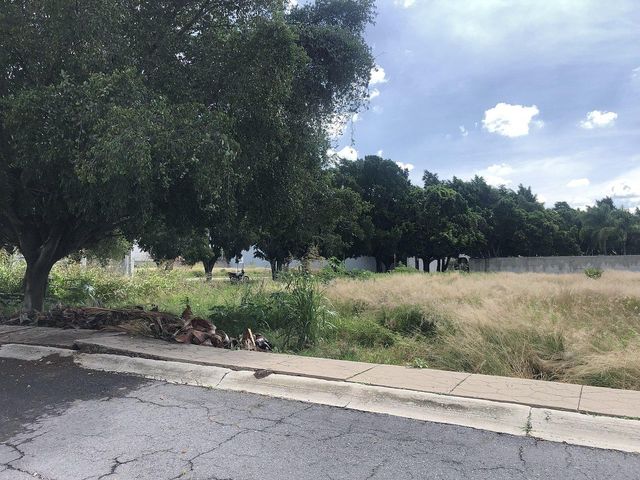 place photo 31