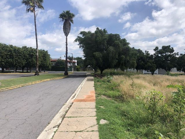 place photo 39