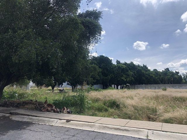 place photo 32