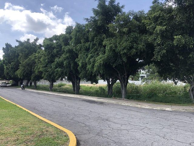 place photo 22
