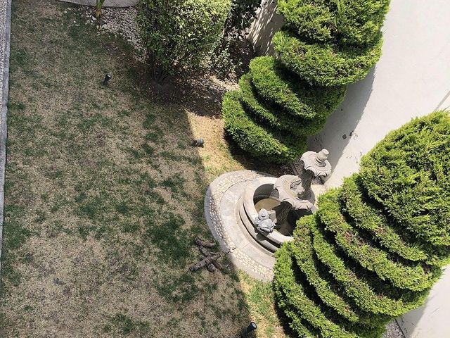 place photo 39