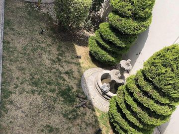 place photo 39