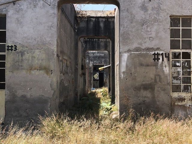 place photo 34