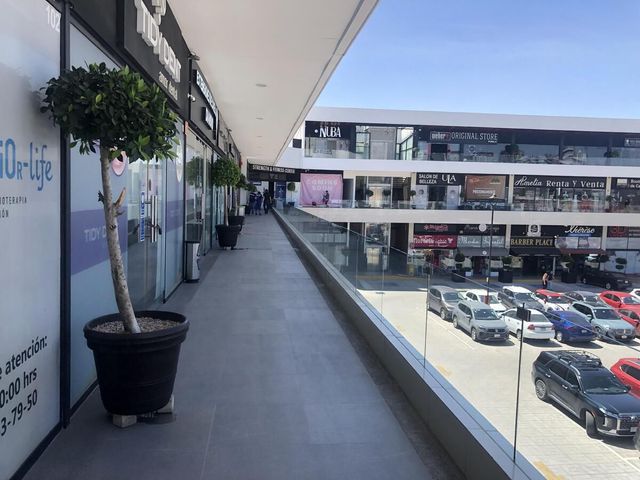 place photo 20