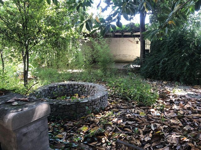 place photo 44