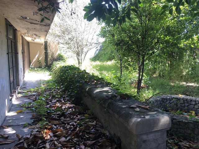place photo 45
