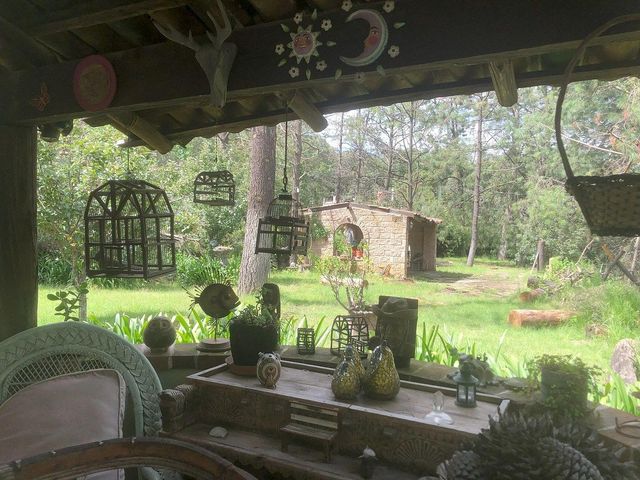 place photo 41