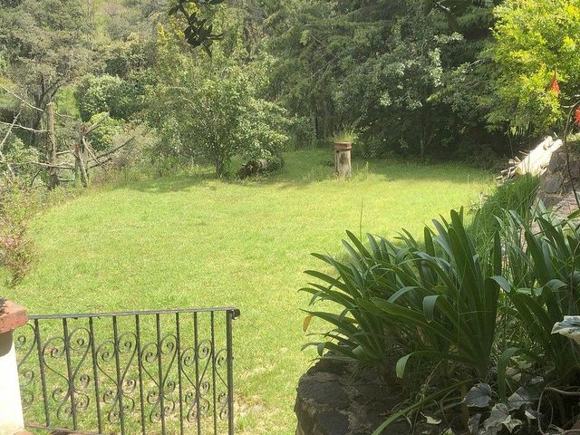 place photo 36