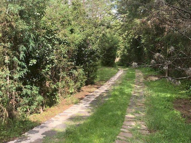 place photo 47