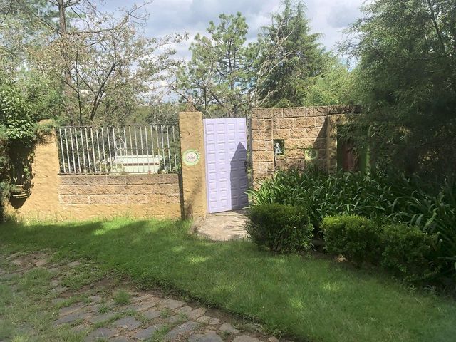 place photo 44