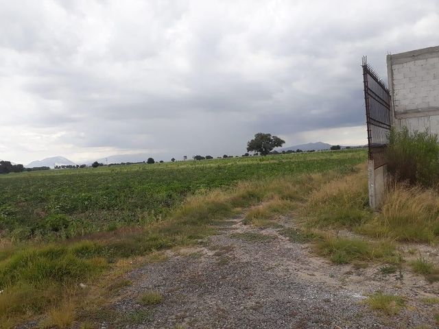 place photo 22