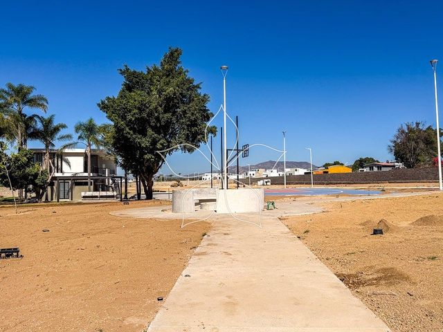 place photo 17