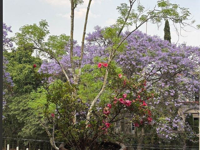 place photo 23