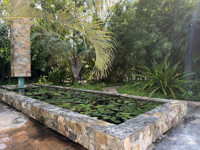 place photo 24