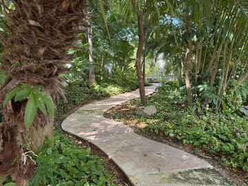 place photo 32