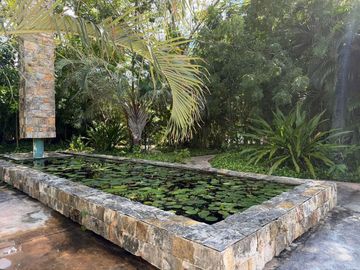 place photo 24