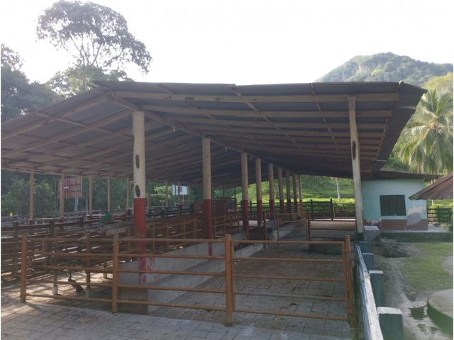 place photo 32