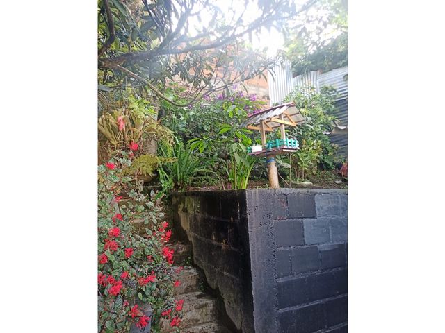 place photo 47