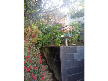 place photo 47