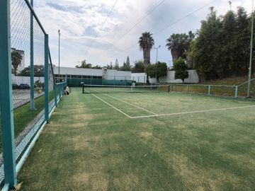 place photo 17