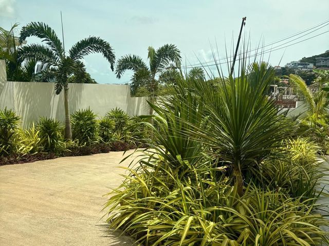 place photo 28