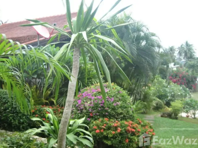 place photo 37
