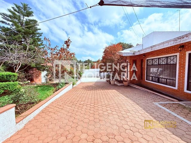 place photo 43
